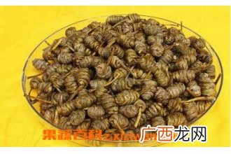 中药石斛泡水喝的功效与作用