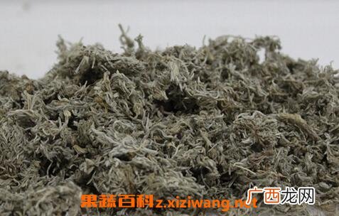 分享中药茵陈泡水喝的作用