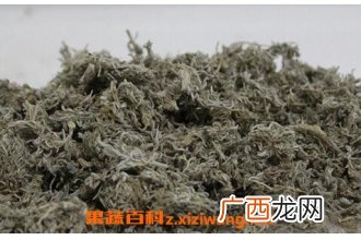 分享中药茵陈泡水喝的作用