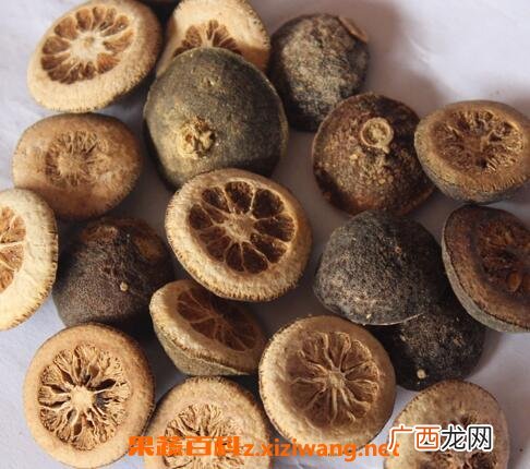 中药枳壳能泡水喝吗 枳壳泡水喝功效