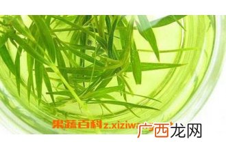 竹子叶泡水喝的功效与作用