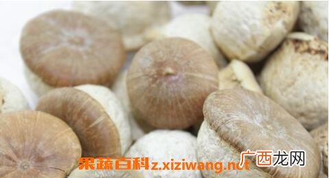壮阳果泡水喝的功效和作用 壮阳果泡水喝的副作用
