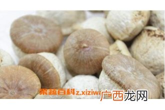 壮阳果泡水喝的功效和作用 壮阳果泡水喝的副作用
