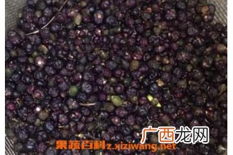 野菜籽的功效与作用及禁忌