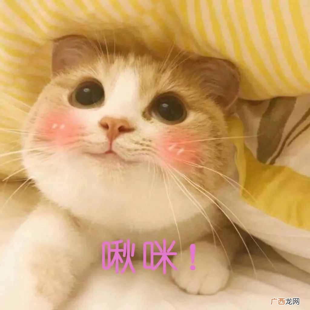 最值推荐的一款免费听歌APP 听音乐用什么软件好不收费