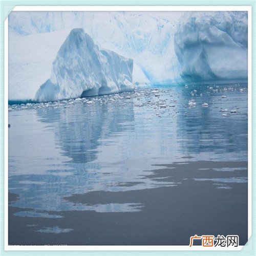 卡地亚手表保修卡长什么样 五万元买萧邦还是卡地亚