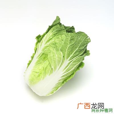 怎样施肥能促进胡萝卜高产？措施有哪些？