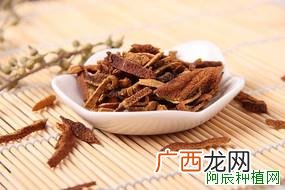 金银花价格及种植种苗技术介绍