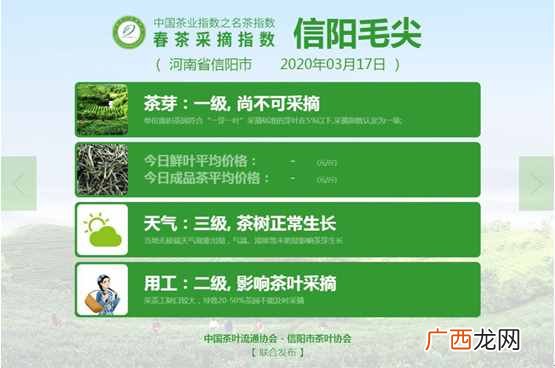 最受欢迎的郑州茶城 郑州茶城有哪些