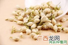 甘草施如何施肥？