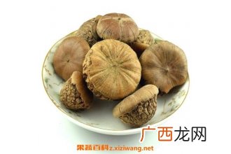 中药金龟子怎样泡水喝 金龟子泡水喝的功效