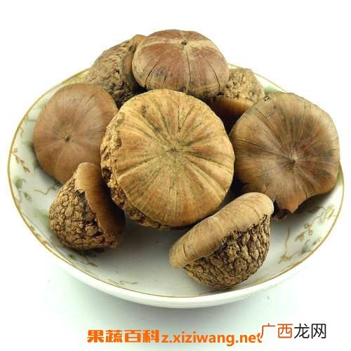 中药金龟子怎样泡水喝 金龟子泡水喝的功效