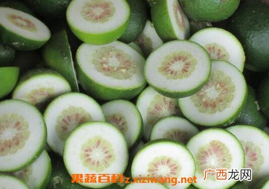 枳壳的功效与作用 枳壳的食用方法