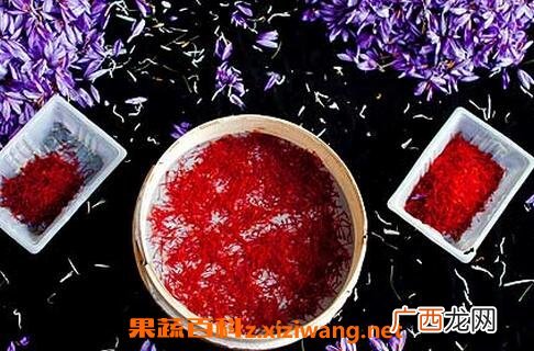 藏红花怎么吃效果最好