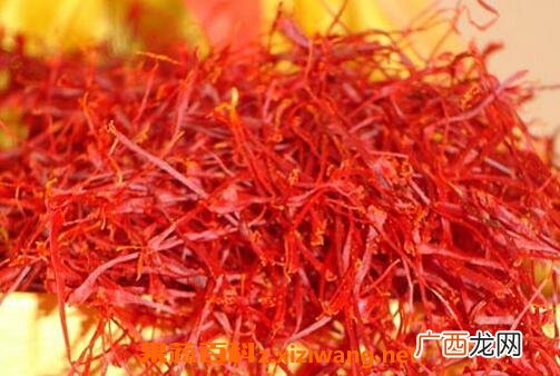 藏红花泡酒喝有什么功效