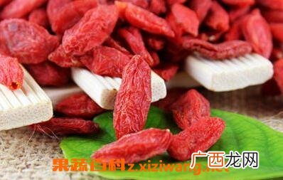 长期用枸杞泡水喝有什么好处和坏处