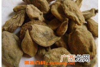 中药瘪桃干的功效与作用