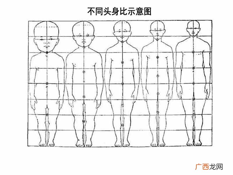 详解各种正太型男生 什么叫正太型男生