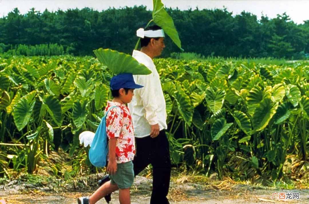 本年度最好看的5部高分搞笑电影 有什么搞笑电影好看的吗