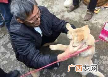 营销推广案例怎么做（2019年营销推广热点日历表