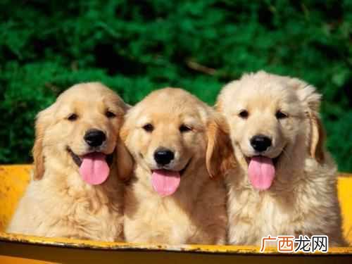 营销推广案例怎么做（2019年营销推广热点日历表