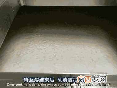 人造奶酪真相大揭秘 人造奶酪是什么做的