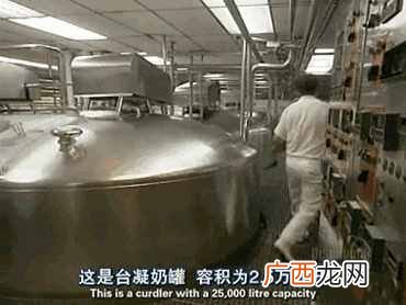 人造奶酪真相大揭秘 人造奶酪是什么做的
