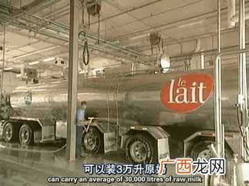 人造奶酪真相大揭秘 人造奶酪是什么做的