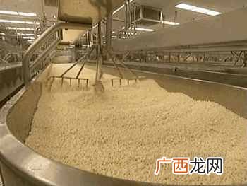 人造奶酪真相大揭秘 人造奶酪是什么做的