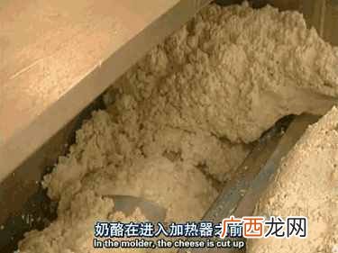 人造奶酪真相大揭秘 人造奶酪是什么做的