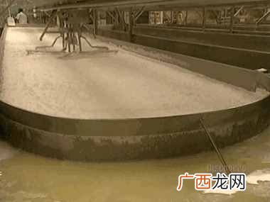 人造奶酪真相大揭秘 人造奶酪是什么做的