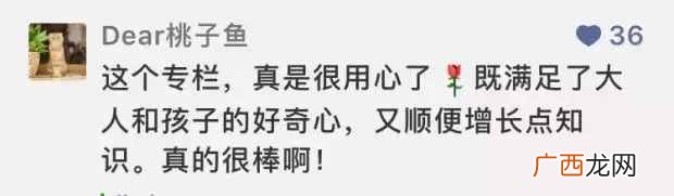 人造奶酪真相大揭秘 人造奶酪是什么做的