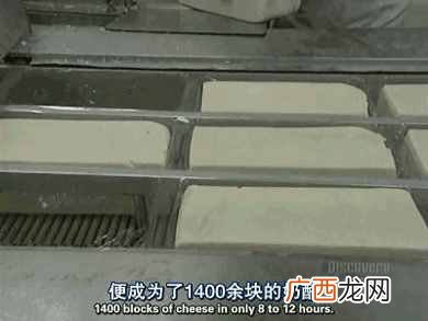 人造奶酪真相大揭秘 人造奶酪是什么做的