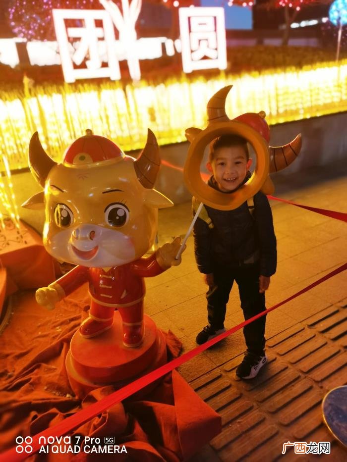 因为我脑子不好,为何我的脑子里都是些不好的事情