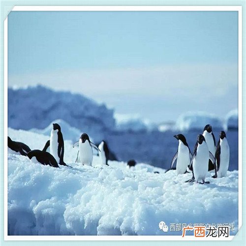 贞丰县融媒体中心 贵州贞丰新闻