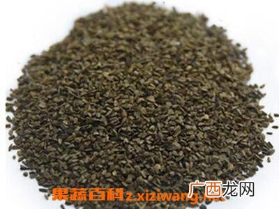 益母草籽的功效与作用及食用方法