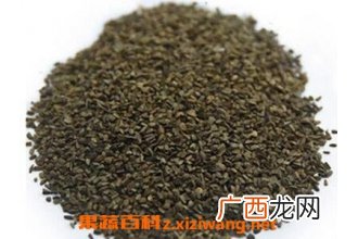 益母草籽的功效与作用及食用方法