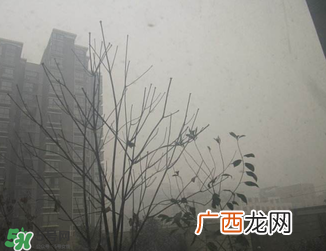 雾霾对孕妇有什么危害？雾霾对胎儿有影响吗？