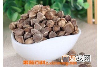 印度辣木籽的功效与作用