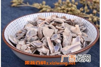 紫贝齿的功效与作用及禁忌