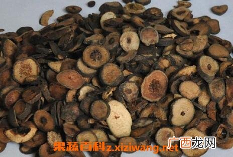 枳实的功效与作用及食用方法