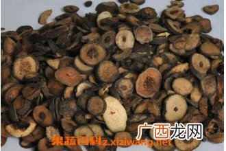 枳实的功效与作用及食用方法