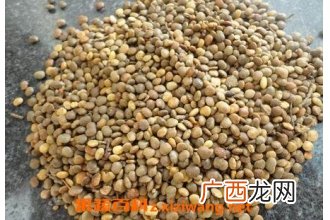 草籽的营养价值 草籽的功效与作用