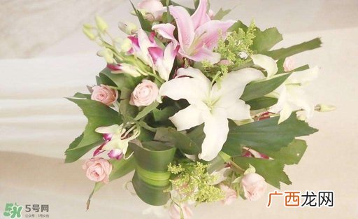 孕妇不能碰那些花孕期避开的花有哪些