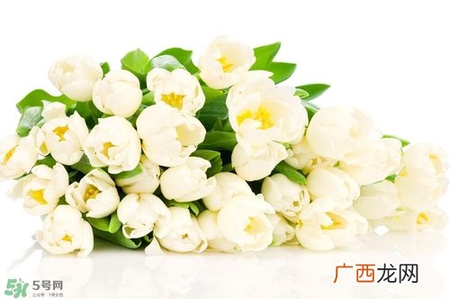 孕妇不能碰那些花孕期避开的花有哪些