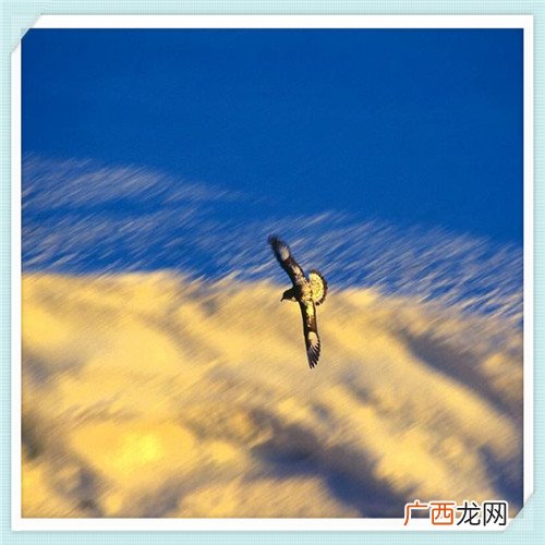 黄鹤楼白酒价格表 黄鹤楼白酒一楼怎么样