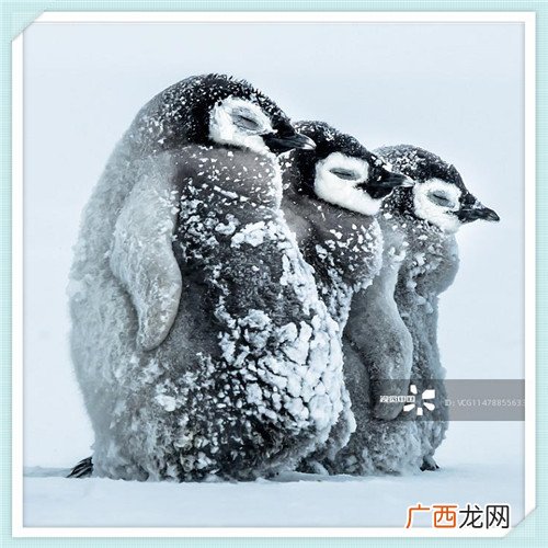 fossil手表维修点 fossil机械手表