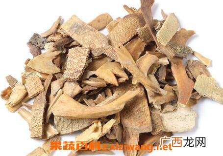 中药鳖壳的功效与作用