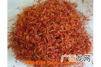 伊朗红花与藏红花的区别
