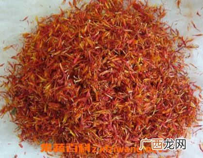 伊朗红花与藏红花的区别
